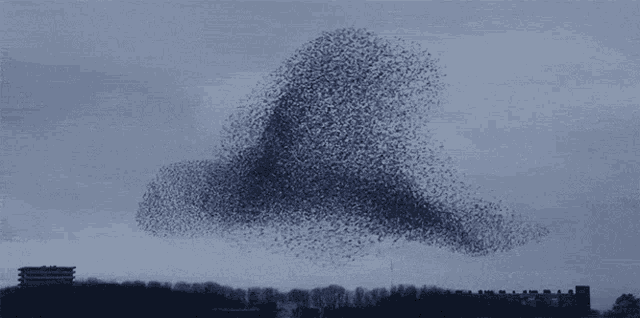 The Great Invisible Migration preview